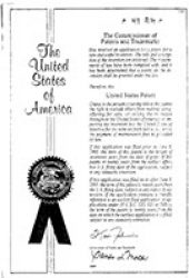 미국 특허