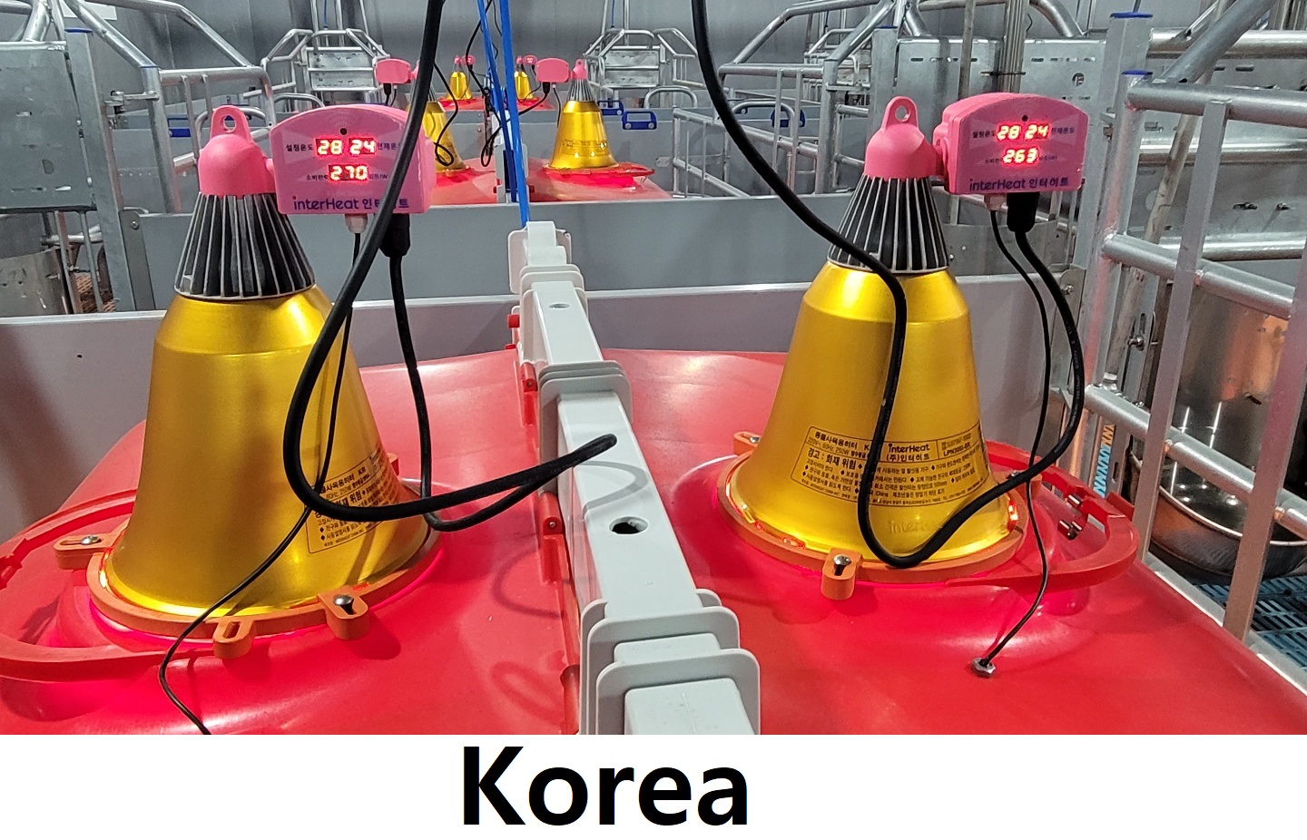 68df0c0dc3712e0004fba5696ec5368a_1773281729_9663.jpeg